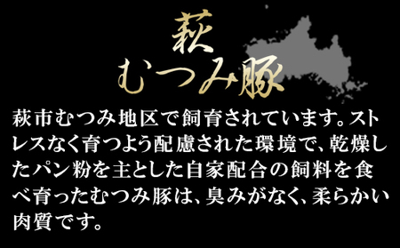 道の駅萩往還人気レストラン／「玄」の豚丼 2人前×5袋