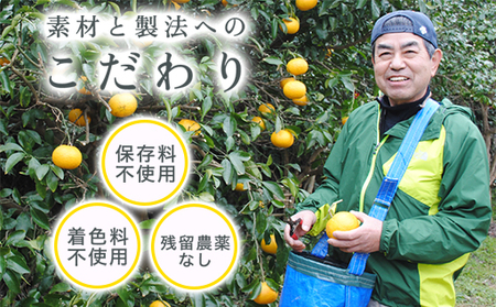 柑橘 ジュース 濃厚希釈 山口県産 3種セットA 500ml×3本 セット/夏みかん 柚子 ゆずきち