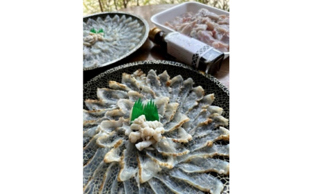 ふぐ セット 2～3人前 桜ふぐ 刺身・炙り 豪華2枚