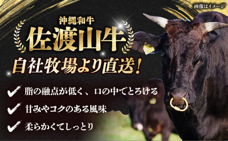 サーロインステーキ 【全6回定期便】【数量限定】沖縄和牛 佐渡山牛 サーロイン＆希少部位 ステーキ肉 500g  BCBC015 牛肉