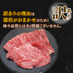 訳あり 知多牛響 焼肉セット 1.2kg (600g×2) 部位おまかせ 知多牛 有限会社寿屋精肉店