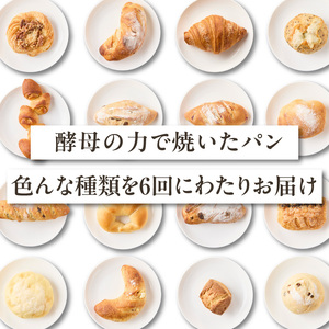 【全6回定期便】毎月違う味が楽しめる！店主厳選！ パン定期便 065-15-T03 | パン