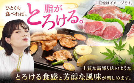 豚肉 焼肉 沖縄県産豚肉 くいまーる豚 焼肉セット (ロース・バラ) 計2.4kg (200g×各6P)  BCAJ002 