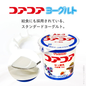 【3ヶ月定期便】愛知ヨーク　コアコアヨーグルト　20個入[108A01-T]