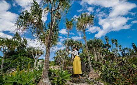 東南植物楽園 入園券 ＆ ランチ券 （大人2名） 入場券 チケット 植物園 テーマパーク 観光 沖縄市 / 株式会社東南植物楽園 [BCBY005]