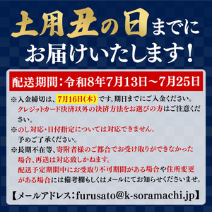 【B57003】土用の丑の日 特大うなぎ 蒲焼 有頭 (3尾 計555g以上 タレ・山椒付) 国産 大隅産 鰻 蒲焼き【一般社団法人きもつき宇宙協議会】