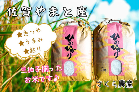 佐賀県大和産「ひのひかり」5kg×2袋 米 農家直送：B320-018