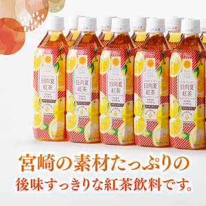 【3ヶ月定期便】サンA 日向夏 紅茶 HINATA TEA 500mlＰＥＴ 24本 入り×2ケース 【飲料 日向夏 紅茶 PET セット ジュース 長期保存 送料無料】