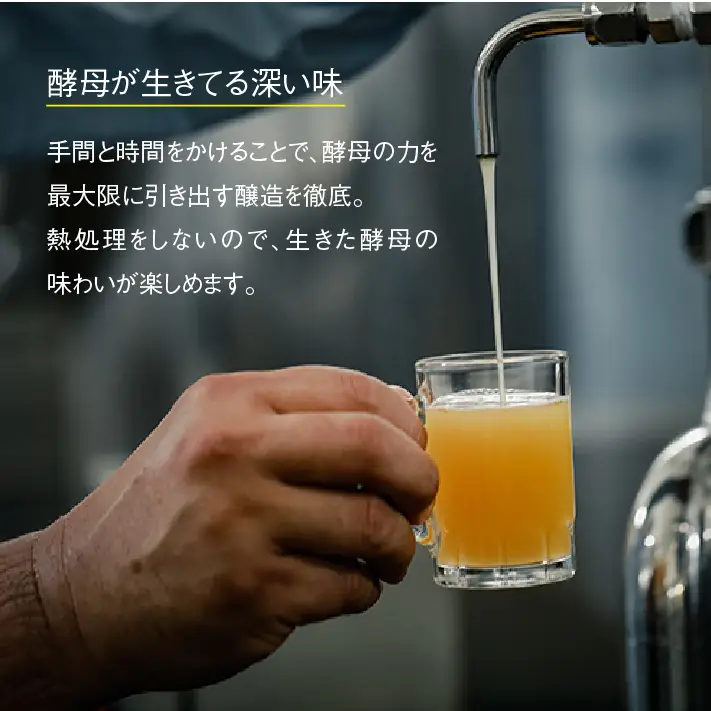 《淡路島のクラフトビール》あわぢびーる「ビアカップ受賞記念セット」１２本入り