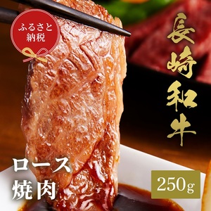 【和牛セレブ】長崎和牛焼肉ロース 250g ( 長崎和牛 和牛 焼肉 ロース )【B8-028】