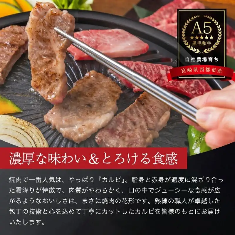 【最高品質のA5等級 西都和牛】黒毛和牛カルビ焼肉600gオレイン酸含有率55%以上 小分け カミチクファーム＜62-7a＞