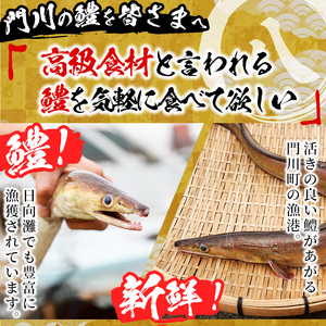 骨切り 白鱧 (計800g・400g×2パック・カット済み) 骨切り済 ハモ はも 一口 天ぷら しゃぶしゃぶ フライ 小分け 冷凍 魚介類 鍋 国産 宮崎県 門川町【O-8】【門川漁業協同組合】