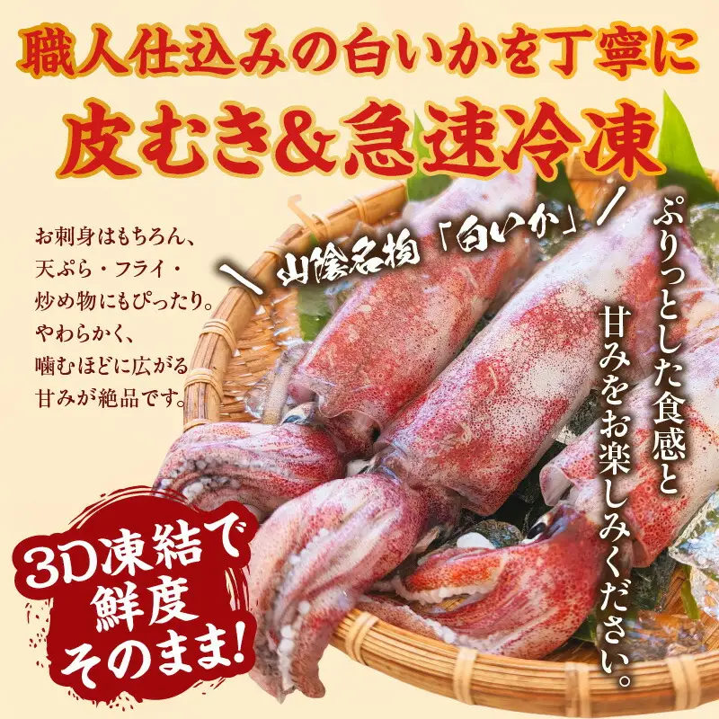 イカ お刺身用 白イカむき身 350g 74-05
