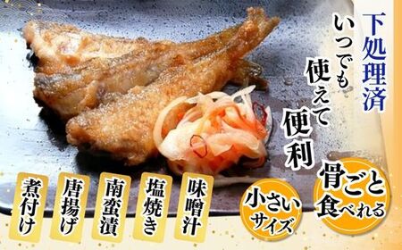 ハタハタ 小さいサイズ 1.2kg 下処理済 はたはた 74-07