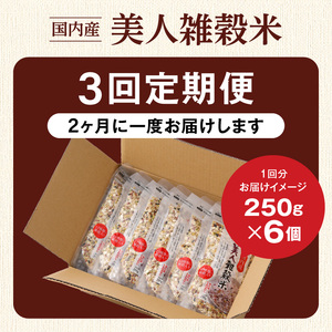 【隔月3回　定期便】国内産 美人雑穀米 250g×6個 1500g×3回_雑穀米 国内産 250g × 6個 お届け回数 3回 美人雑穀米 雑穀 12種 ブレンド 混ぜて炊くだけ 冷めても美味しい 胚芽押麦 もち玄米 発芽 玄米 もち黒米 ハト麦 もち麦 もちきび 黒大豆 もちあわ 簡単 主食 おにぎり 弁当 ふっくら もちもち 〔Tk027〕