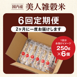 【隔月6回　定期便】国内産 美人雑穀米 250g×6個 1500g×6回_雑穀米 国内産 250g × 6個 お届け回数 6回 美人雑穀米 雑穀 12種 ブレンド 混ぜて炊くだけ 冷めても美味しい 胚芽押麦 もち玄米 発芽 玄米 もち黒米 ハト麦 もち麦 もちきび 黒大豆 もちあわ 簡単 主食 おにぎり 弁当 ふっくら もちもち 〔Tk028〕