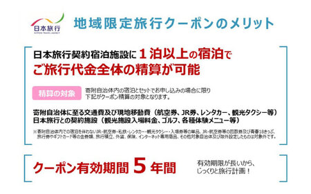 沖縄旅行 沖縄県沖縄市 日本旅行 地域限定旅行クーポン 9万円分  BCAC004 クーポン