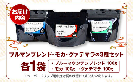 コーヒー 【自家焙煎】ブルマンブレンド・モカ・グァテマラの3種セット  BCBE008