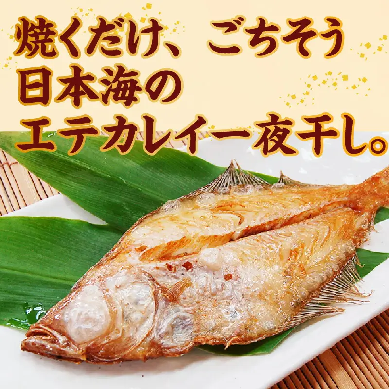 魚 エテカレイ 一夜干し 6枚 干物 下処理不要 74-11