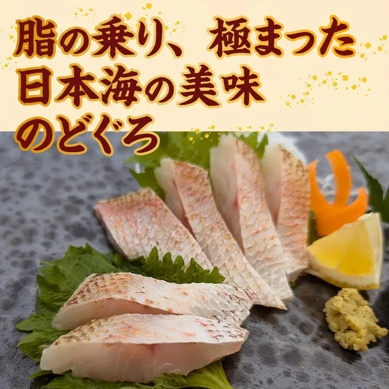 山陰沖 お刺身用あぶりノドグロ 2パック 高級魚 アカムツ 生食用 冷凍 74-15