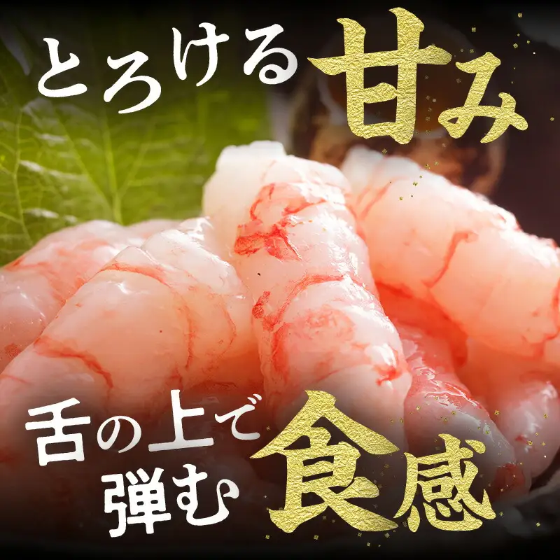 お刺身用 甘エビ Lサイズ 30匹前後 500g以上 冷凍 甘えび  74-16
