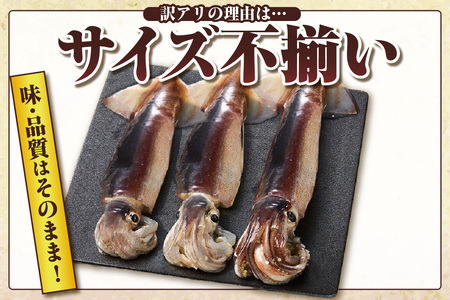 【訳あり】スルメイカ たっぷり 約1kg サイズ不揃い 冷凍 いか  74-17