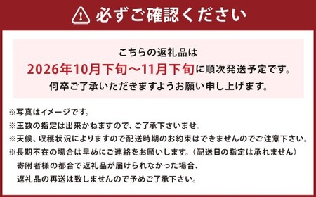 博多甘うぃ キウイ 約3.6kg 20~24玉 【2026年10月下旬～11月下旬発送】果物 フルーツ お取り寄せ 福岡県