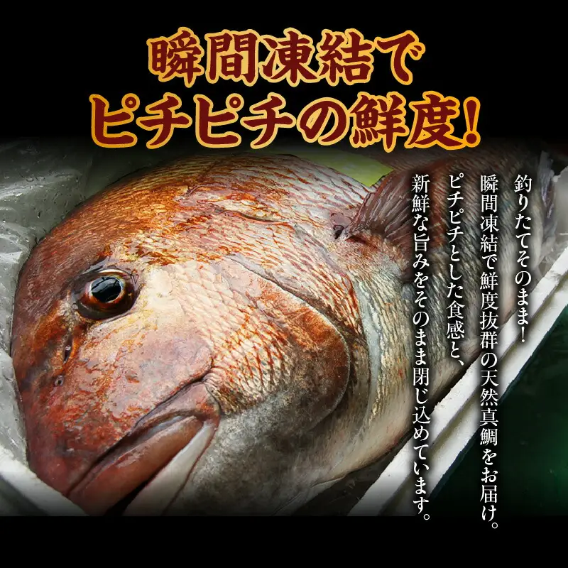 瞬間凍結 天然 真鯛 切身 約1kg 冷凍 たい タイ 海鮮 魚介 74-26