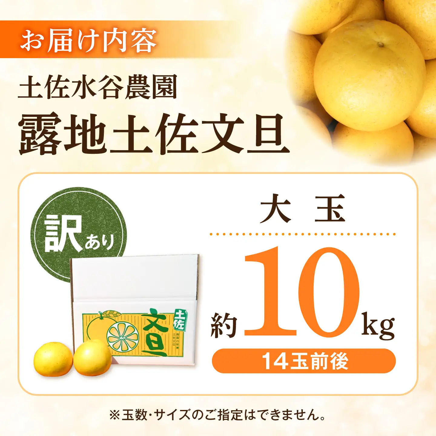 【先行予約】文旦 家庭用大玉 10キロ 10kg（3Lサイズ以上～：14玉前後）〈2027年1月20日～発送〉皮むき器付き 訳あり 文旦 ぶんたん ブンタン 柑橘 フルーツ 大玉【土佐水谷農園】 [BQBD009]