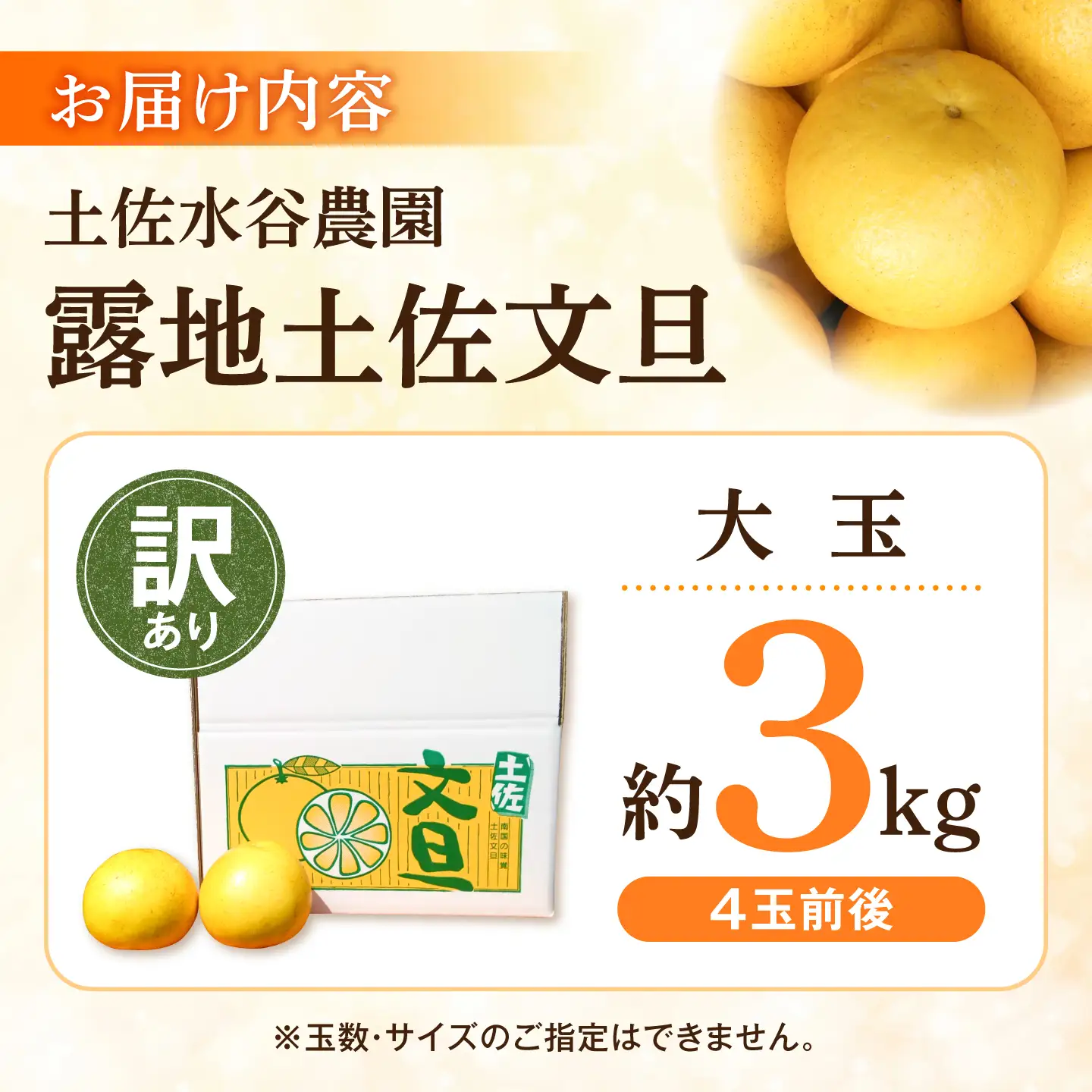 【先行予約】文旦 家庭用大玉 3キロ 3kg（3L～上限なし：4玉前後）〈2027年1月20日～発送〉皮むき器付き 訳あり 文旦 ぶんたん ブンタン 柑橘 フルーツ 果物 高知 土佐市【土佐水谷農園】 [BQBD007]