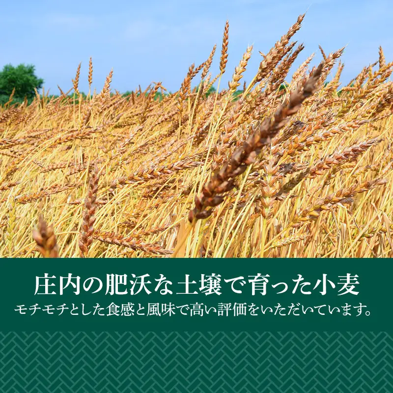 月山小麦 生麺セット K-731　有限会社 富樫製麺