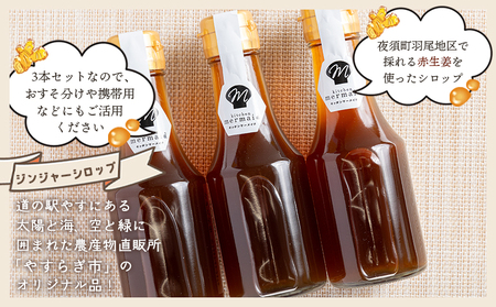 【定期便／年3回お届け】 香南市ジンジャーシロップ 生姜 (150ml)×3本セット 定期便 Wyr-0062