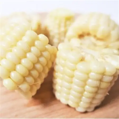 大分県日出町産　ホワイトコーン「白雪姫」_野菜 とうもろこし  トウモロコシ_【配送不可地域：離島】【1615424】