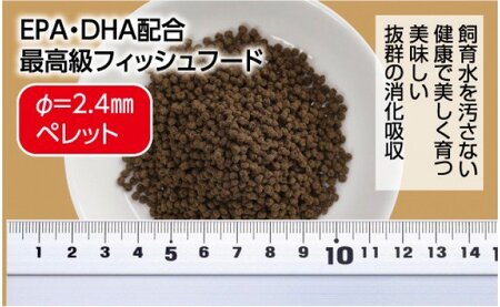 Σシグマ GROW D ペレット 110g 小・中型海水魚用 