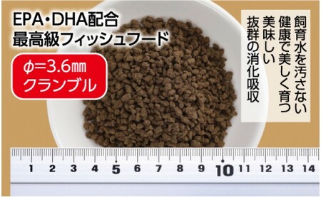 Σシグマ GROW E クランブル 170g 中型海水魚用 