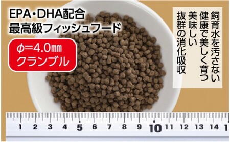 Σシグマ GROW E ペレット 170g 中型海水魚用 