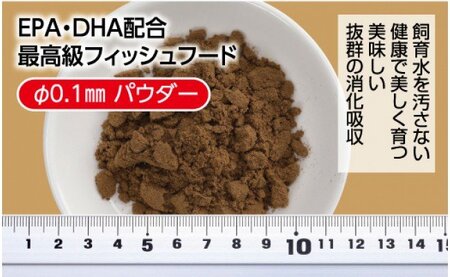 らんちう貴族S 50g ふ化稚魚用 