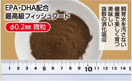 らんちう貴族A 60g 稚魚用 