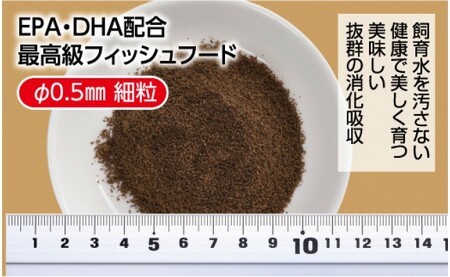 らんちう貴族 B 100g 幼魚用 