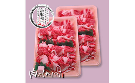 鳥取和牛小間切れ　冷凍500g×2_T2600312