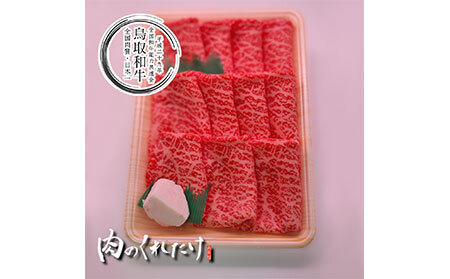 鳥取和牛モモスライス　冷凍500g_T2600316