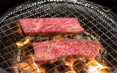 鳥取和牛焼肉部位食べ比べセット_T2600321