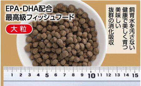 錦鯉貴族 F 1kg 浮遊性 