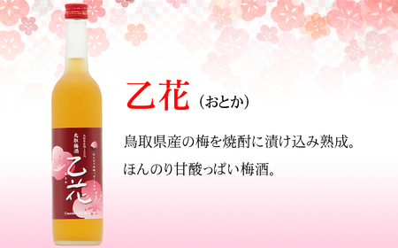 鳥取県の美味しい酒　梅酒　乙花（おとか）　３本セット_T2600369