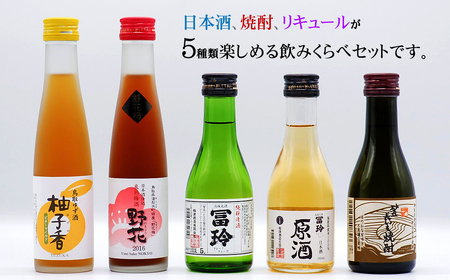 鳥取県の美味しい酒　梅津酒造飲みくらべセット_T2600370