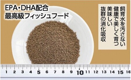 土佐姫 C 120g 当歳魚用 