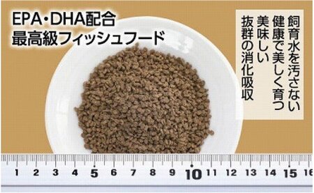 土佐姫 D 200g 高級金魚用 