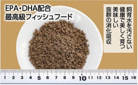 GROW E クランブル 160g 中型熱帯魚用 