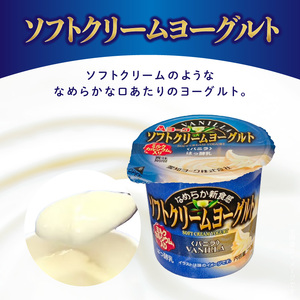 【3ヶ月定期便】愛知ヨーク　ソフトクリームヨーグルト　20個入［108A09-T］