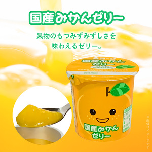 【6ヶ月定期便】愛知ヨーク　国産みかんゼリー・国産ももゼリー　20個入［108A16-T］